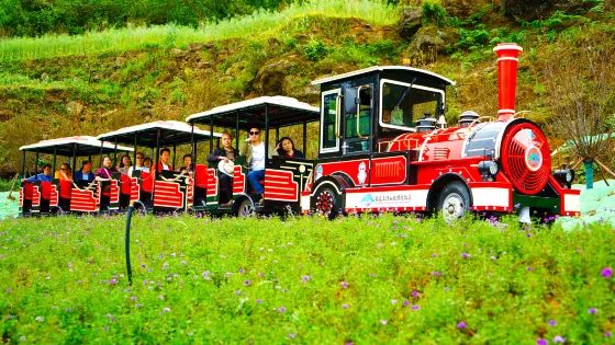 蜀道五指山旅遊度假區