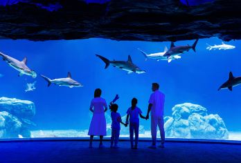 长隆飞船乐园一日游【天天出发，横琴区免费接】【珠海长隆宇宙飞船一日游】