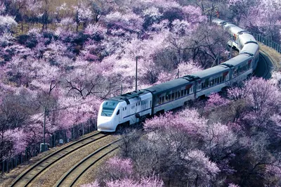 居庸关长城