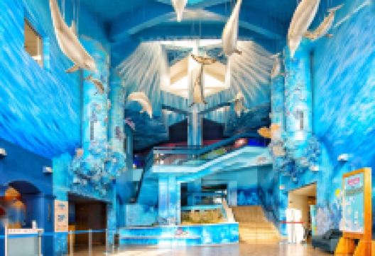 澎湖水族馆景点图片