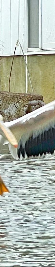 兰阳动植物王国-宜兰