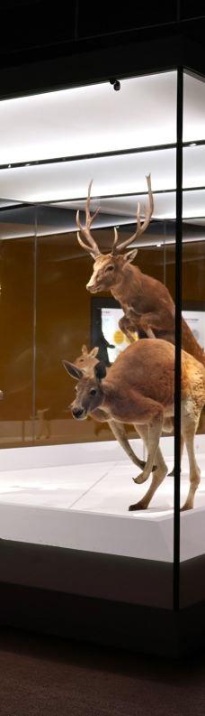 台湾自然科学博物馆-台中