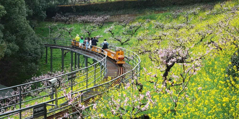 永安旅遊