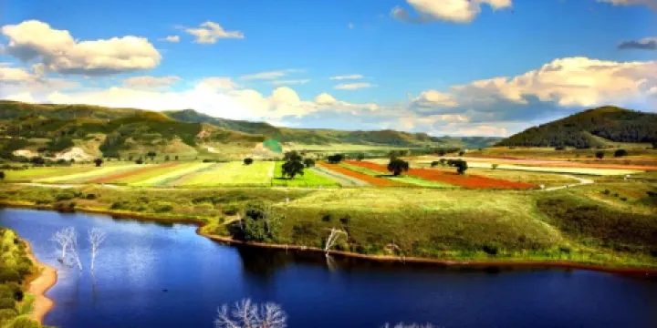 樺木溝國家森林公園