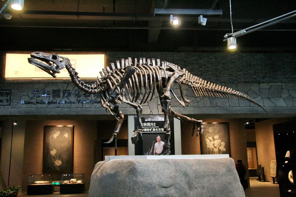 Gallery 3