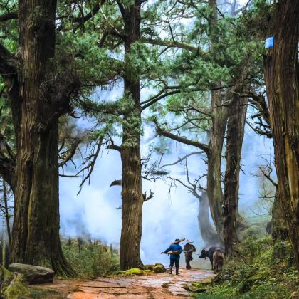 广元剑门关+汉中石门栈道风景区6日5晚私家团