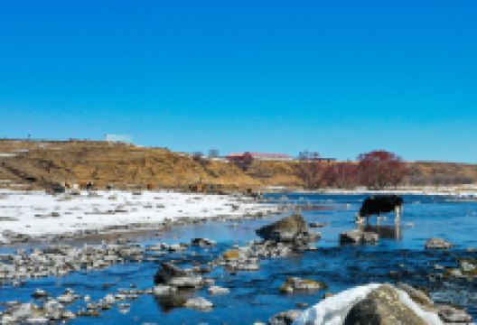 阿尔山国家森林公园景点图片