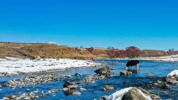 阿爾山國家森林公園
