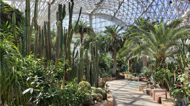 青岛世界园艺博览园植物园