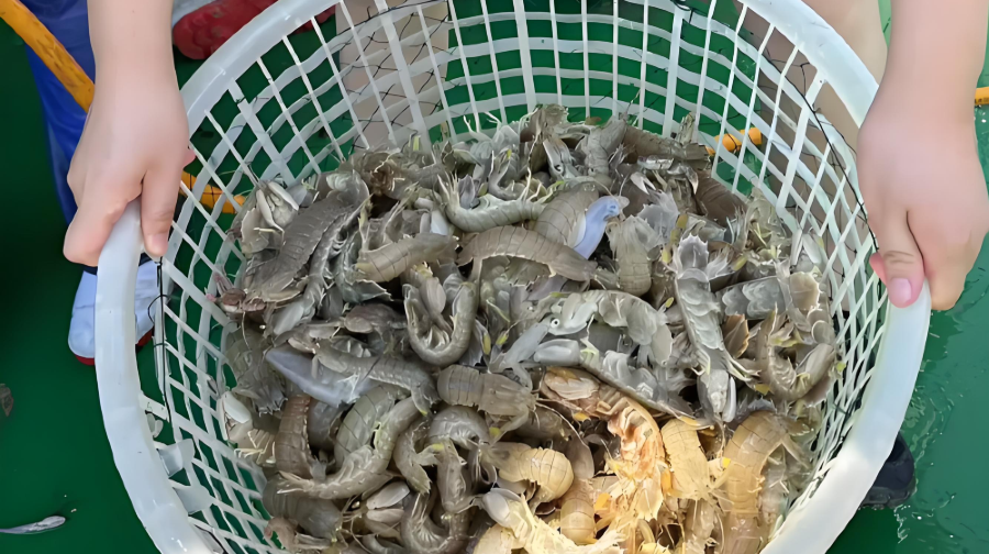 唐山出海捕鱼观光体验中心