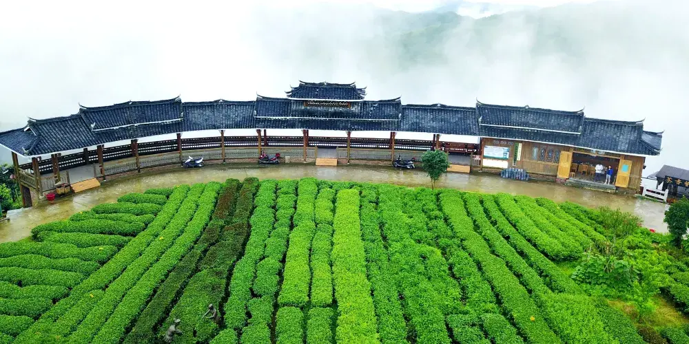 永安旅遊