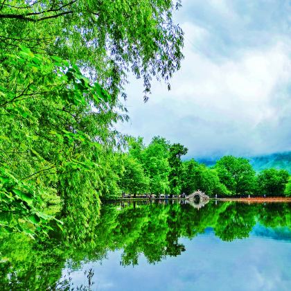 黄山+宏村景区+西递+塔川+婺源篁岭景区+九华山风景区6日5晚私家团