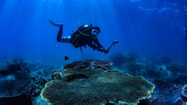 呆呆岛潜水中心