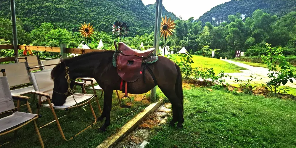 永安旅遊
