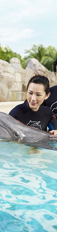 海哺栖息地-新加坡