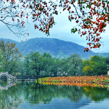 上海+苏州+乌镇+西栅夜游+杭州+千岛湖+黄山风景区+宏村6日5晚跟团游