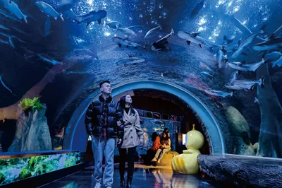 海滨城浩海立方海洋公园