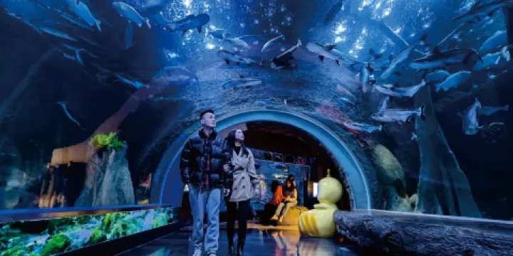 海濱城浩海立方海洋公園