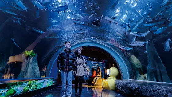 海濱城浩海立方海洋公園