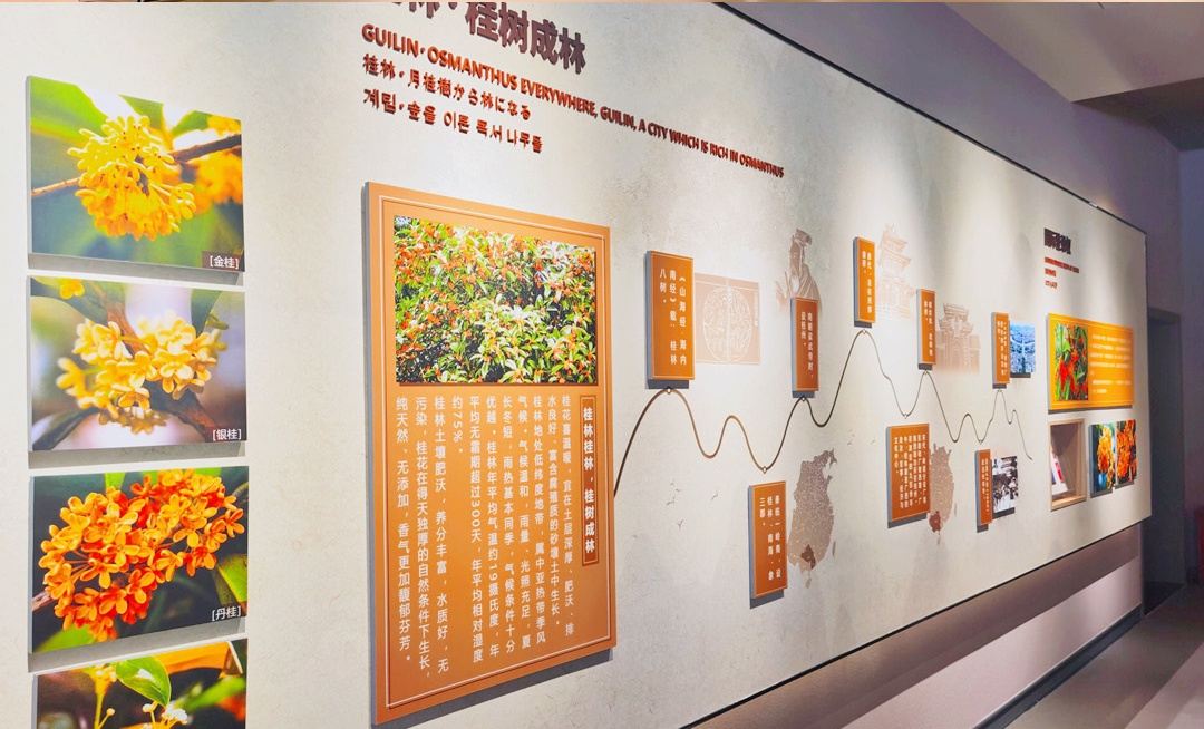 Gallery 2