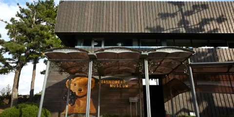 朝安泰迪熊博物館