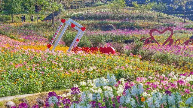 寒武纪石林景区