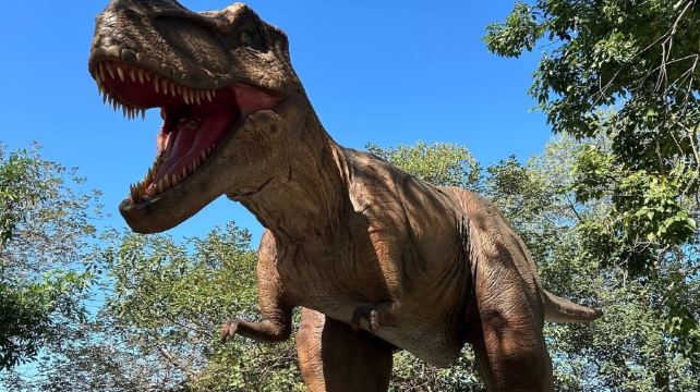 百果山探索乐园