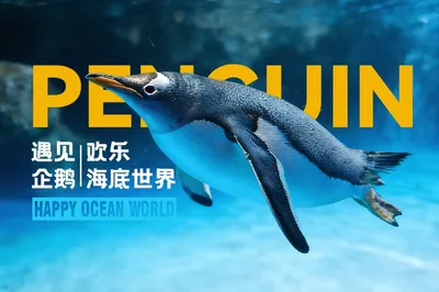 重庆欢乐海底世界