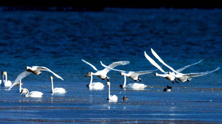 5-day 4-night · Private Tour · China + Inner Mongolia + Chifeng + Wulanbutong Steppe Tourist Area + Dali Lake + Yulong Sand Lake
