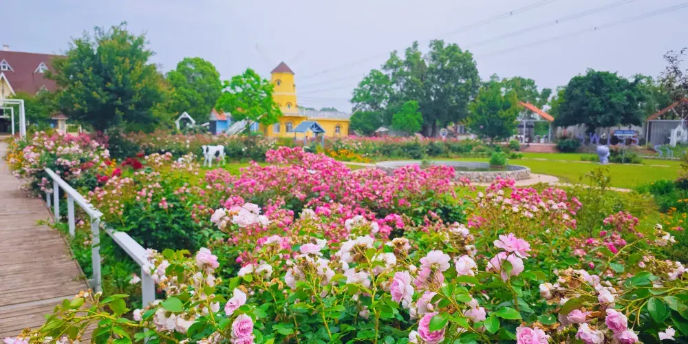 永安旅遊