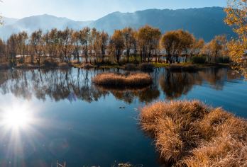 大理白族自治州+环洱海一日游，可选大巴团和8人团【大理古城南门统一集合，统一在大理古城南门散团】