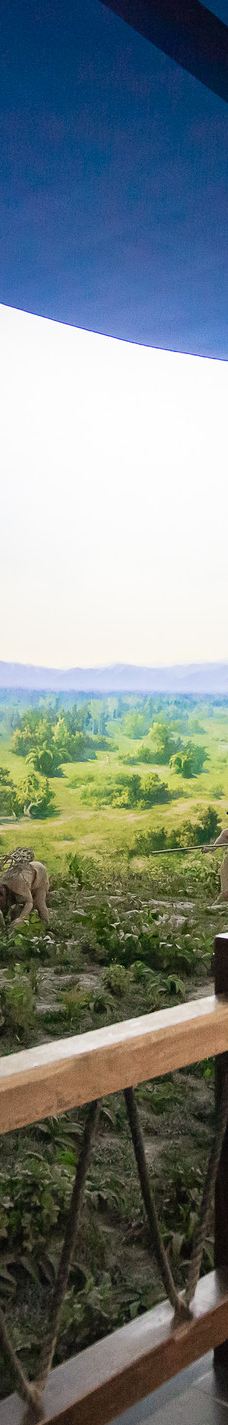 西安半坡博物馆-西安