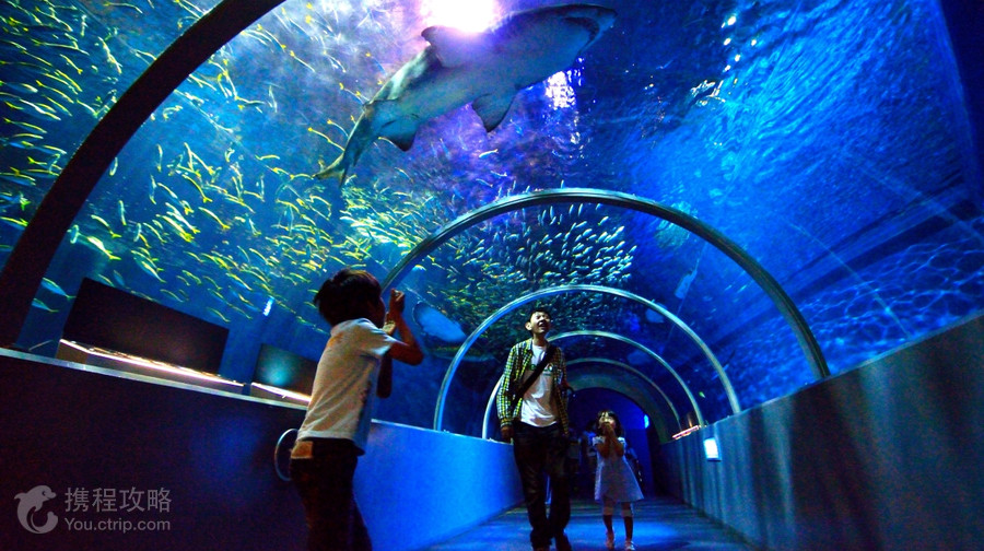 登別海洋公園尼克斯