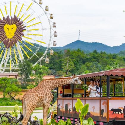 清远长隆度假区2日1晚私家团