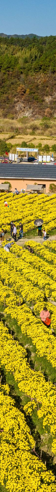 宜春明月山旅游区-宜春
