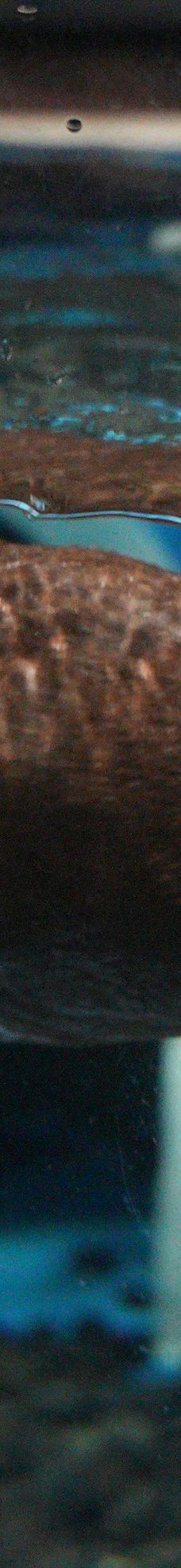 海滨城浩海立方海洋公园-成都