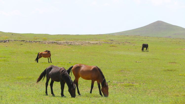2-day 1-night · Private Tour · China + Inner Mongolia + Ulanqab + Huitengxile Grassland + Wulanhada Volcano Geopark