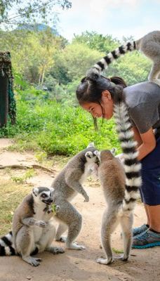 绿山动物园-Bang Phra
