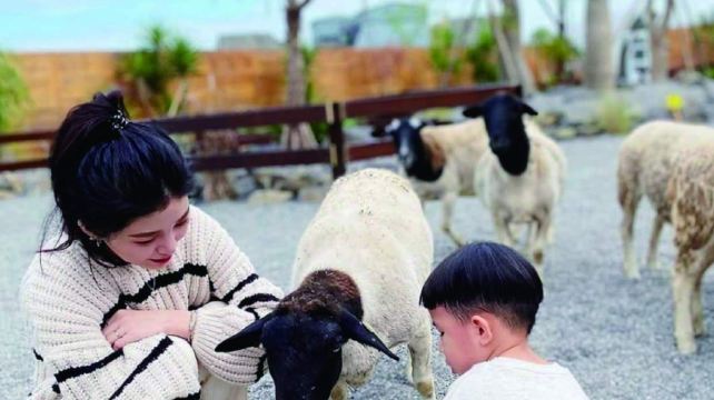 回巢 Homing 荒野沙漠农场园区