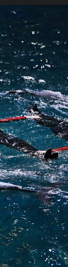 郑州海洋馆-郑州