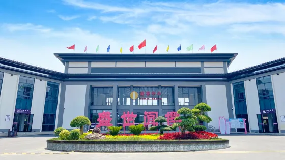 盛世聞櫻旅遊景區