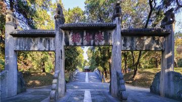 Confucius Forest