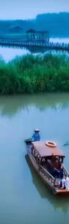 溱湖国家湿地公园-泰州