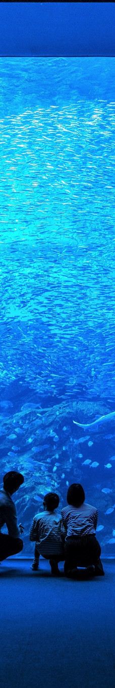 仙台海洋森林水族馆-仙台