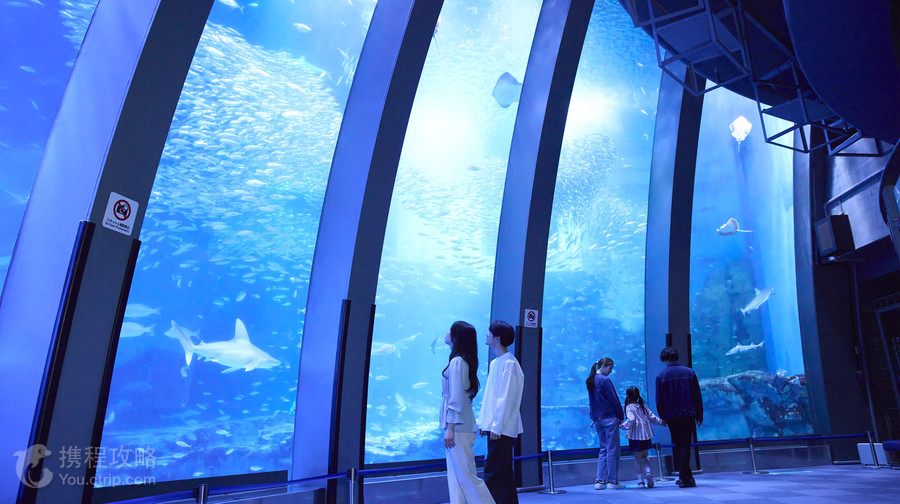 横濱八景島海島樂園