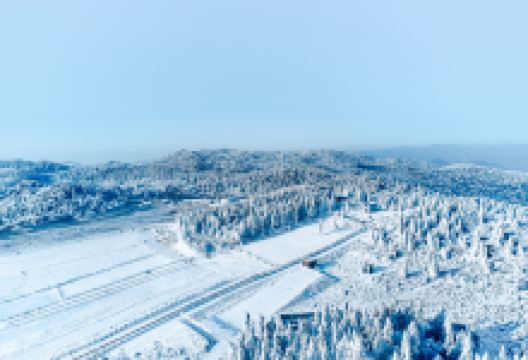 仙女山国家森林公园景点图片