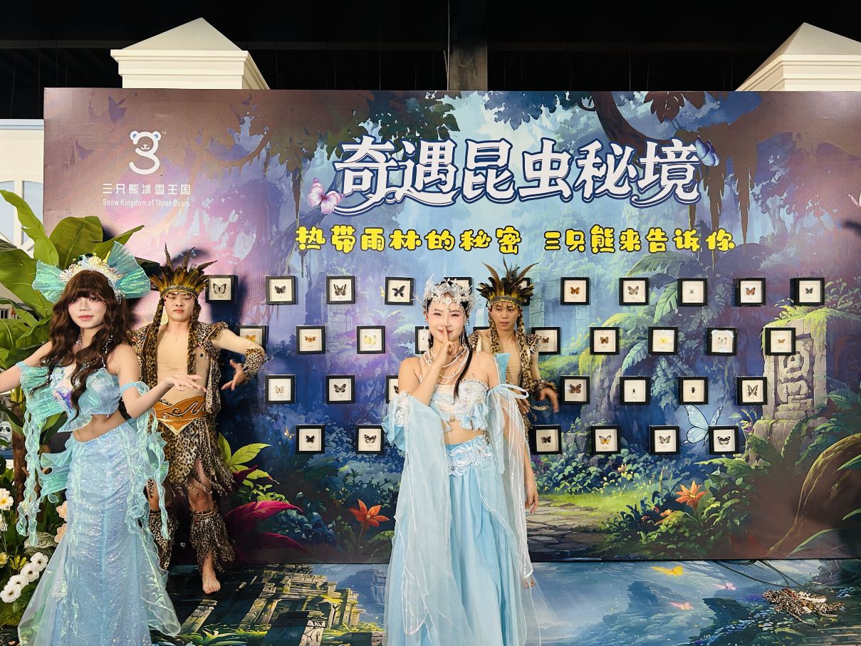 三只熊冰雪王国