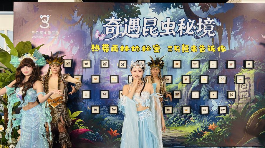 三只熊冰雪王国