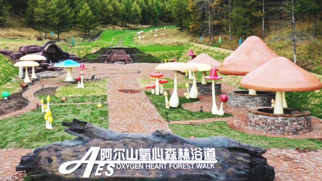 阿尔山氧心森林浴道景区