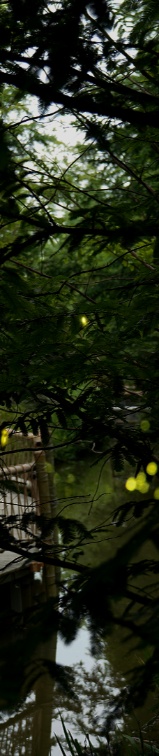 安吉